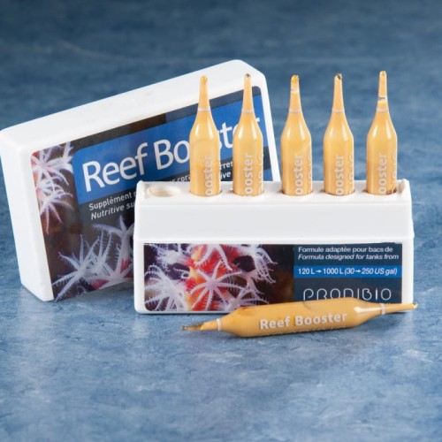 prodibio-reef-booster-1amp.jpg