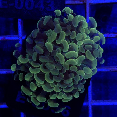 WhatsApp Image 2026-01-26 at 13.03.57.jpeg