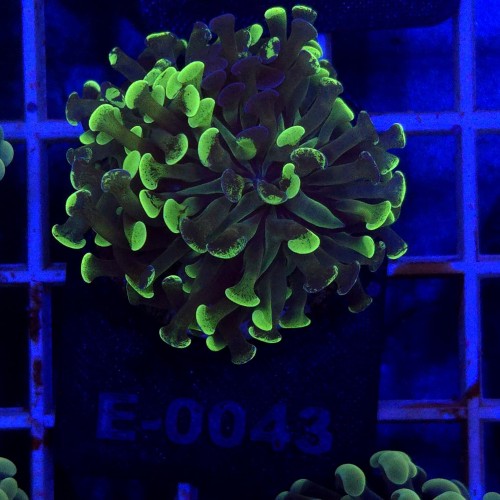 WhatsApp Image 2026-01-26 at 13.03.57 (1).jpeg