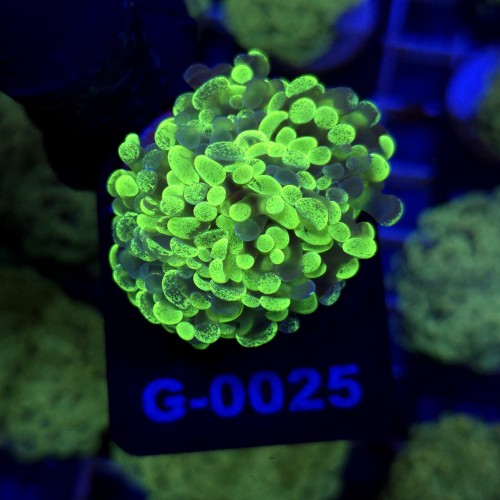 WhatsApp Image 2026-01-26 at 13.04.18 (3).jpeg