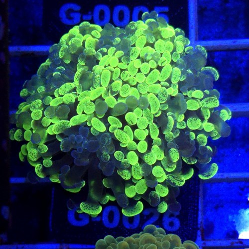 WhatsApp Image 2026-01-26 at 13.04.15 (3).jpeg