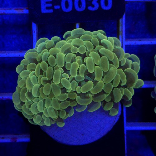 WhatsApp Image 2026-01-26 at 15.04.26 (8).jpeg