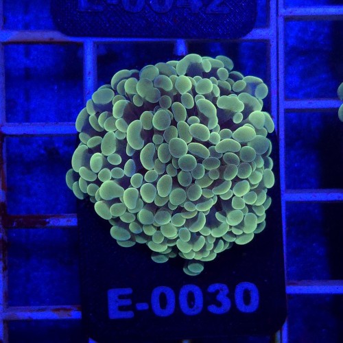 WhatsApp Image 2026-01-26 at 15.04.26 (9).jpeg