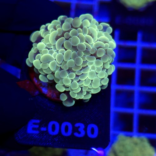 WhatsApp Image 2026-01-26 at 15.04.26.jpeg