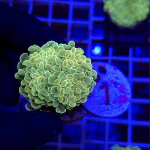 WhatsApp Image 2026-01-26 at 15.04.26 (3).jpeg