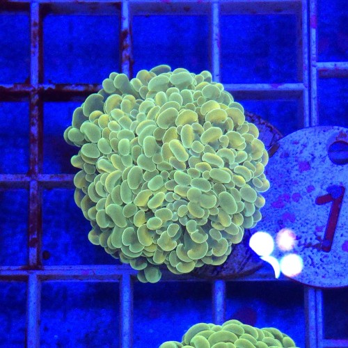 WhatsApp Image 2026-01-26 at 15.04.27 (2).jpeg