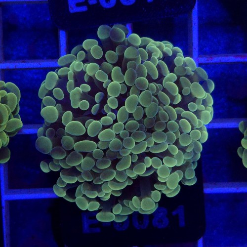 WhatsApp Image 2026-01-26 at 15.04.28.jpeg