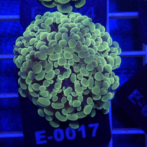 WhatsApp Image 2026-01-26 at 15.04.29.jpeg