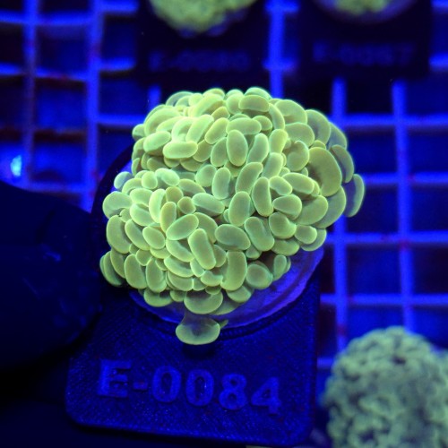 WhatsApp Image 2026-01-26 at 15.04.26 (6).jpeg