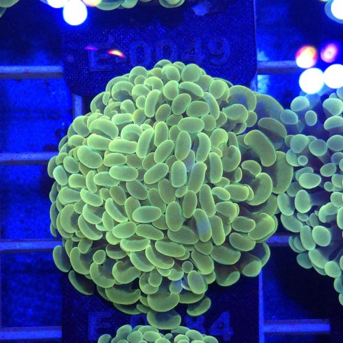 WhatsApp Image 2026-01-26 at 15.04.29 (1).jpeg