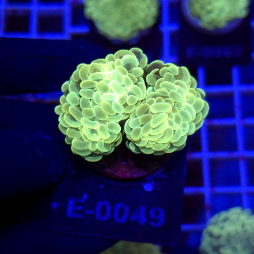 WhatsApp Image 2026-01-26 at 15.04.26 (7).jpeg