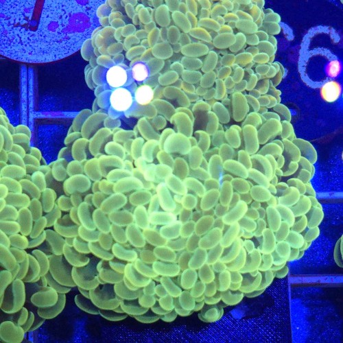 WhatsApp Image 2026-01-26 at 15.04.29 (2).jpeg