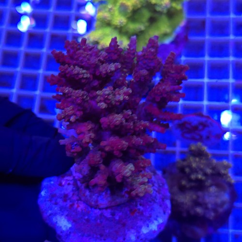 WhatsApp Image 2026-03-19 at 10.58.07 (4).jpeg