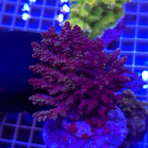 WhatsApp Image 2026-03-19 at 10.58.07 (5).jpeg