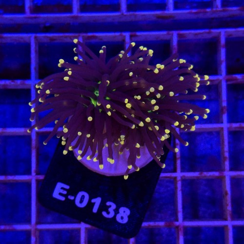 WhatsApp Image 2026-03-20 at 15.39.07 (5).jpeg