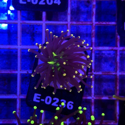 WhatsApp Image 2026-03-20 at 15.39.08 (3).jpeg