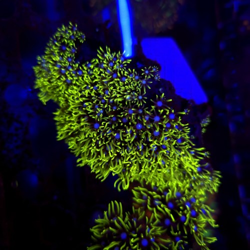 WhatsApp Image 2026-03-27 at 14.27.16 (1).jpeg