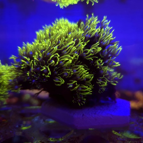 WhatsApp Image 2026-03-27 at 14.27.16 (3).jpeg