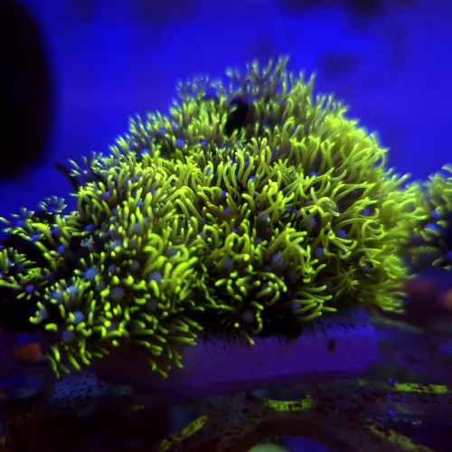 WhatsApp Image 2026-03-27 at 14.27.16 (4).jpeg