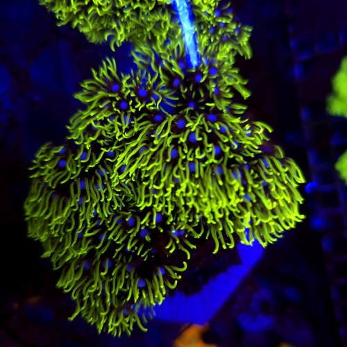 WhatsApp Image 2026-03-27 at 14.27.16.jpeg