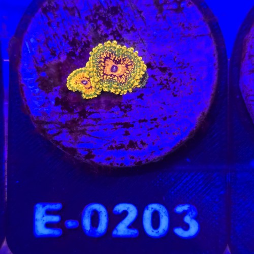 WhatsApp Image 2026-04-02 at 17.22.06.jpeg