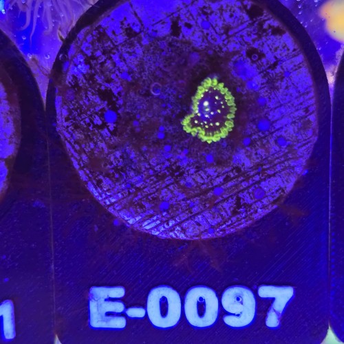 WhatsApp Image 2026-04-02 at 18.04.31.jpeg