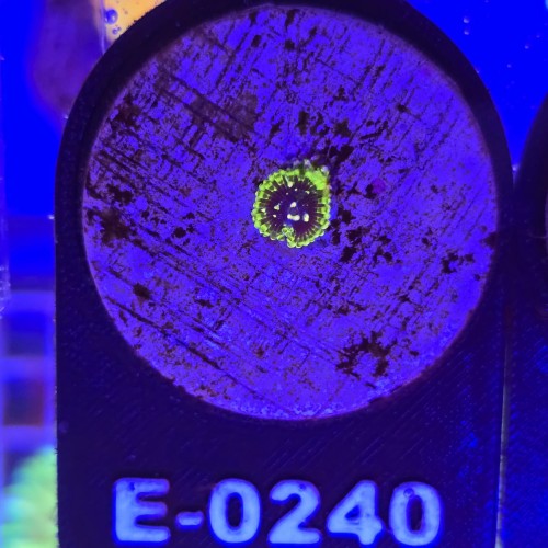 WhatsApp Image 2026-04-02 at 18.04.31 (2).jpeg