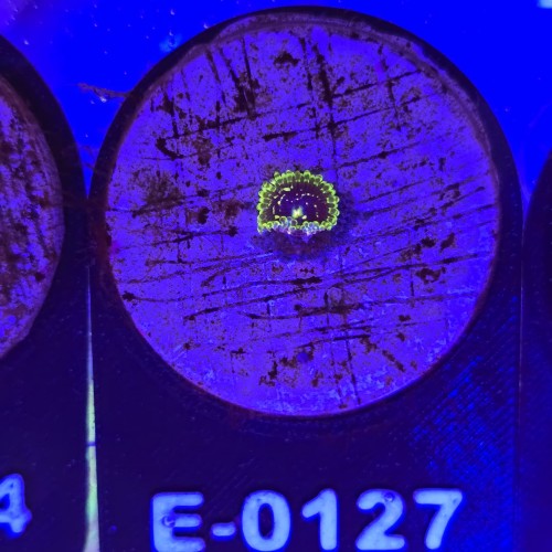 WhatsApp Image 2026-04-02 at 18.04.32 (1).jpeg