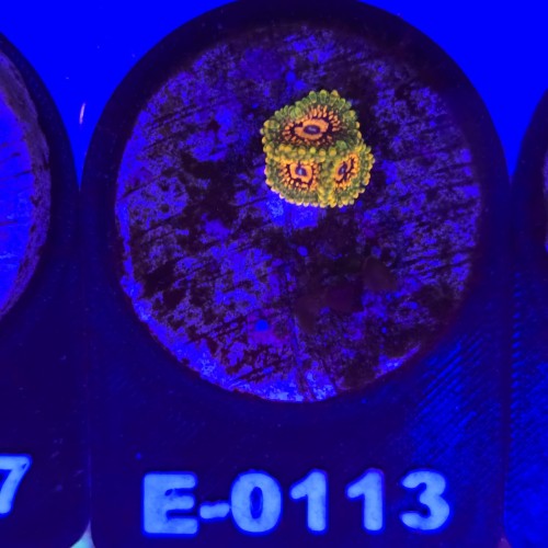 WhatsApp Image 2026-04-02 at 18.04.32 (2).jpeg