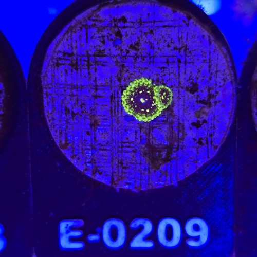 WhatsApp Image 2026-04-02 at 18.04.32 (3).jpeg