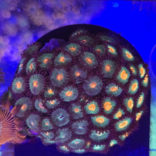 WhatsApp Image 2026-04-02 at 18.04.42.jpeg