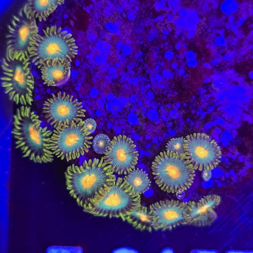 WhatsApp Image 2026-04-02 at 18.04.42 (4).jpeg