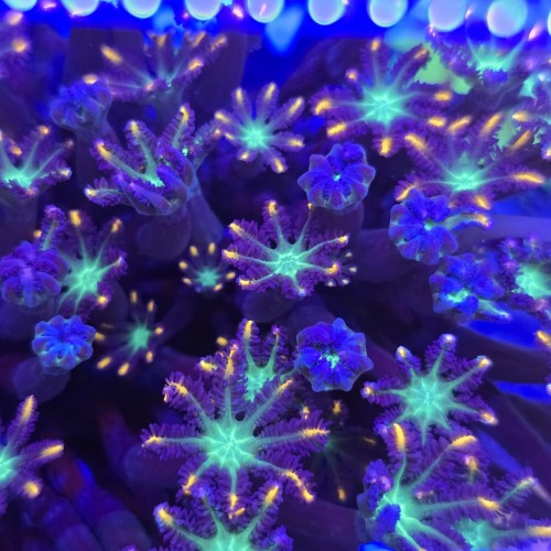 WhatsApp Image 2026-04-03 at 15.03.09.jpeg