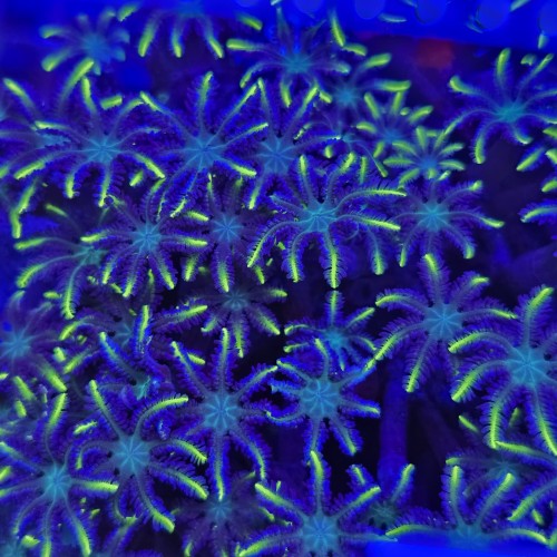 WhatsApp Image 2026-04-03 at 15.03.08 (2).jpeg