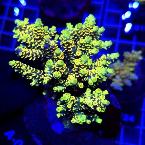 WhatsApp Image 2026-04-03 at 15.03.42 (3).jpeg