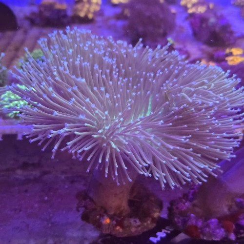 WhatsApp Image 2026-04-10 at 16.49.33 (1).jpeg