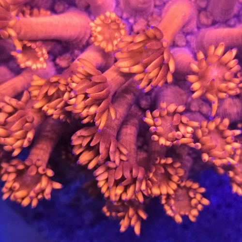 WhatsApp Image 2026-04-16 at 13.49.13 (7).jpeg