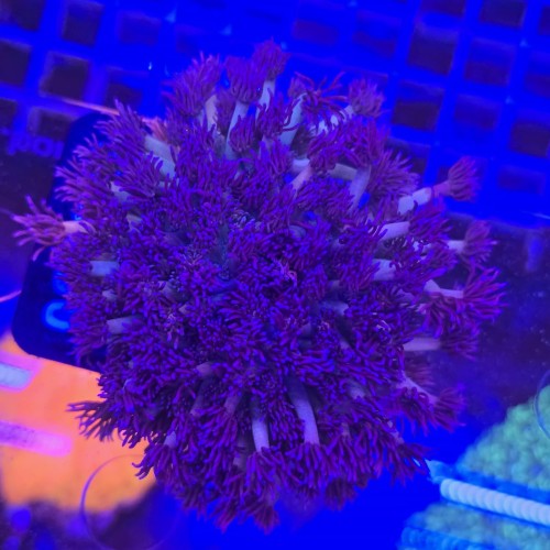 WhatsApp Image 2026-04-16 at 13.49.13.jpeg