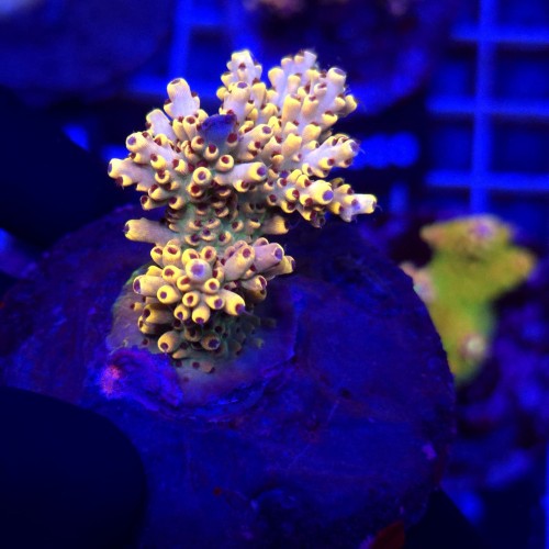 WhatsApp Image 2026-04-16 at 18.51.55 (3).jpeg