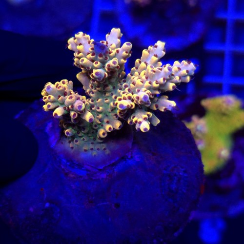 WhatsApp Image 2026-04-16 at 18.51.55 (4).jpeg