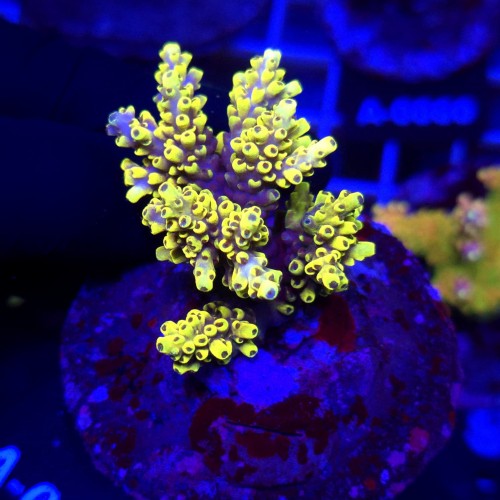 WhatsApp Image 2026-04-16 at 18.51.56 (2).jpeg