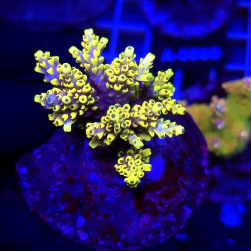 WhatsApp Image 2026-04-16 at 18.51.56.jpeg