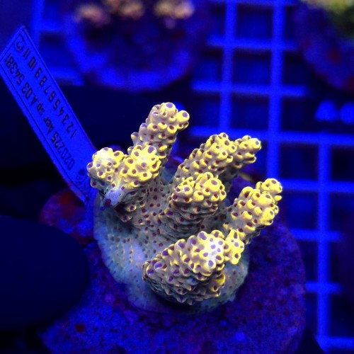 WhatsApp Image 2026-04-16 at 18.51.56 (4).jpeg