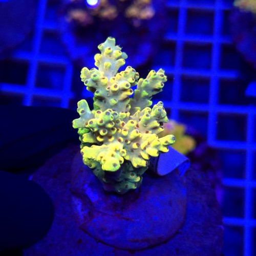 WhatsApp Image 2026-04-16 at 18.52.13 (2).jpeg