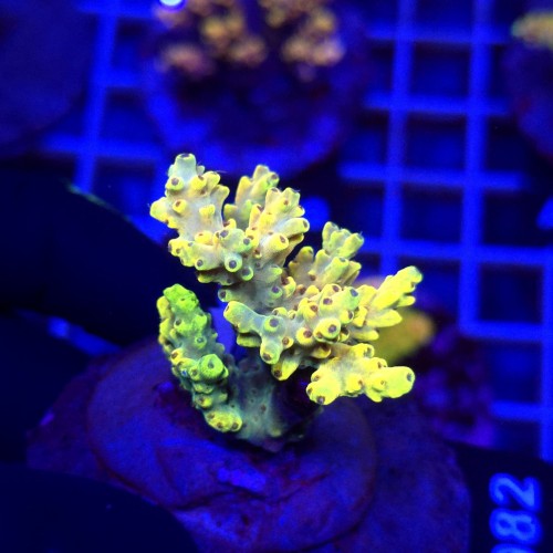 WhatsApp Image 2026-04-16 at 18.52.14.jpeg