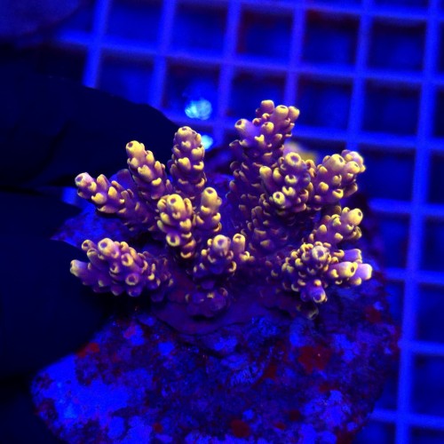 WhatsApp Image 2026-04-16 at 18.52.18.jpeg