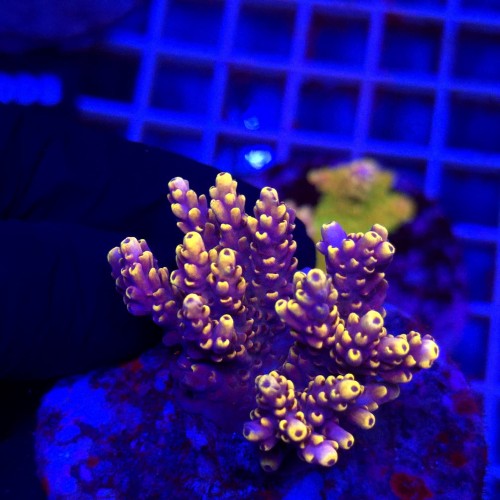 WhatsApp Image 2026-04-16 at 18.52.19.jpeg