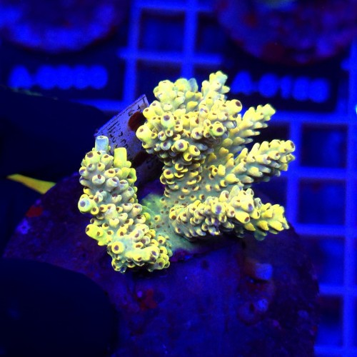 WhatsApp Image 2026-04-16 at 18.52.19 (5).jpeg