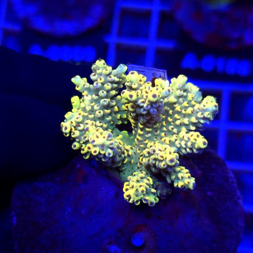 WhatsApp Image 2026-04-16 at 18.52.19 (6).jpeg