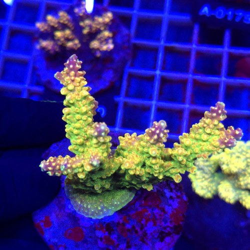 WhatsApp Image 2026-04-16 at 18.52.20.jpeg